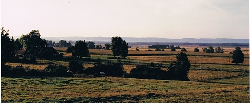 landschaft